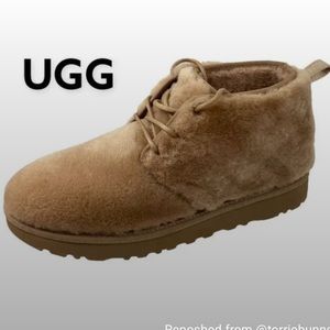 Ugg Neumel cozy chestnut sheepskin lace up ankle boots, size 8; new